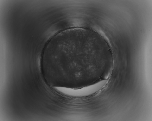 X0000094180154200711161735