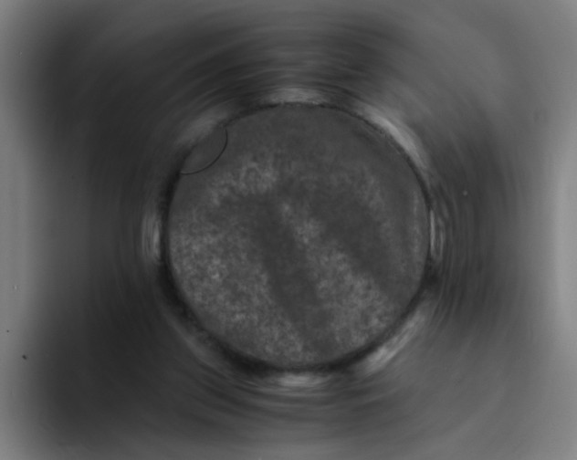 X0000094180157200711161735