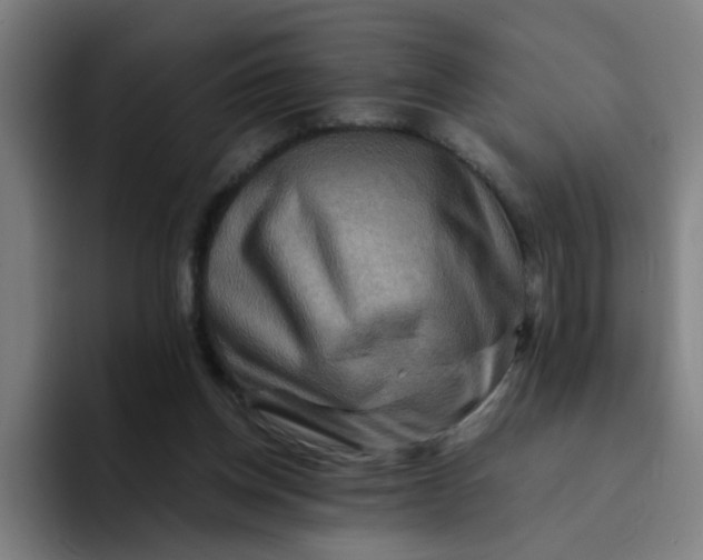 X0000094180158200711161735