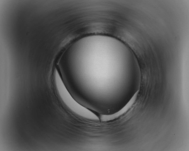 X0000094180160200711161735