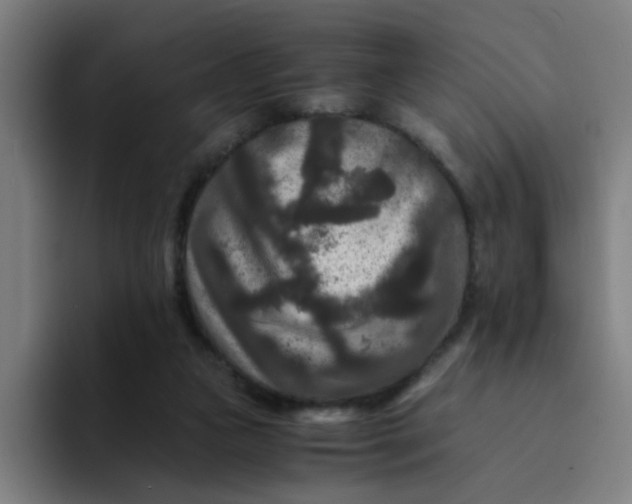 X0000094180161200711161735