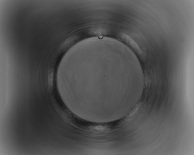 X0000094180163200711161735