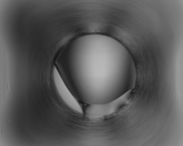 X0000094180164200711161735