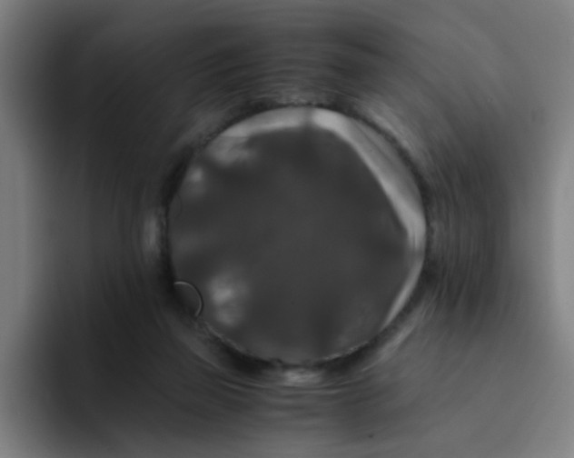 X0000094180165200711161735