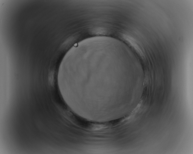 X0000094180167200711161735