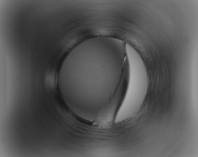 X0000094180168200711161735