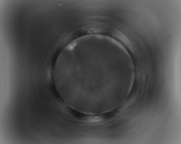 X0000094180169200711161735
