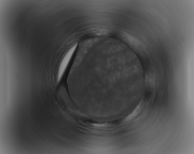 X0000094180170200711161735