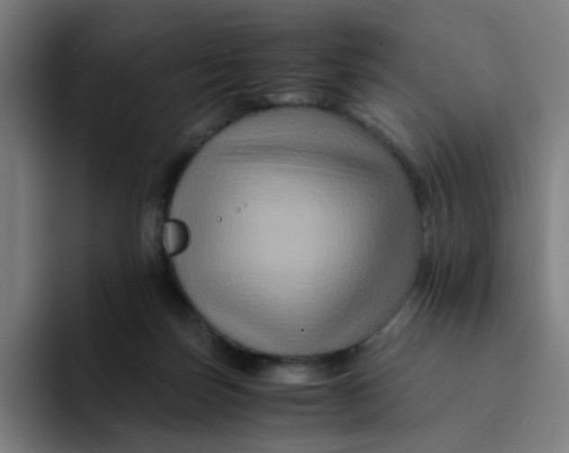 X0000094180171200711161735