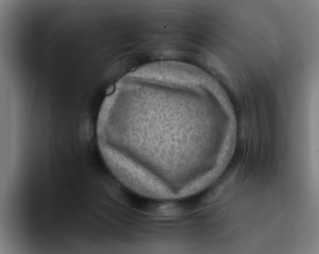 X0000094180173200711161735