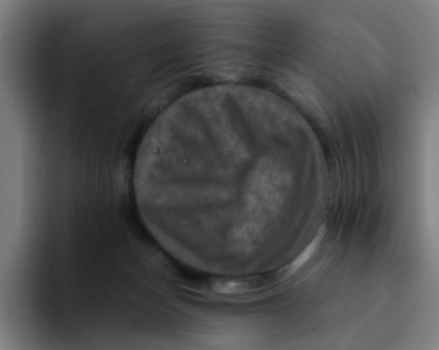 X0000094180174200711161735
