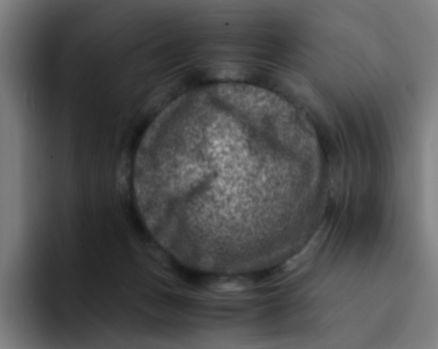 X0000094180175200711161735
