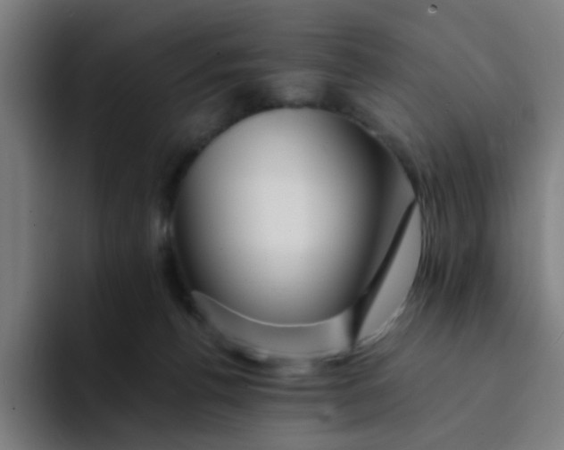 X0000094180176200711161735