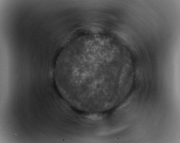 X0000094180177200711161735