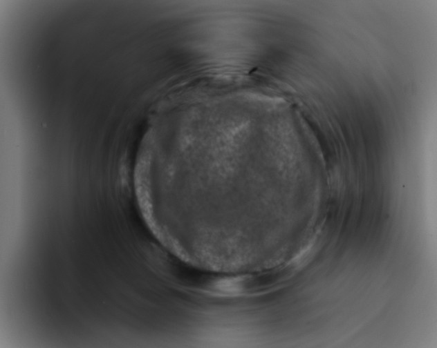 X0000094180178200711161735