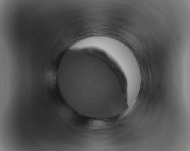 X0000094180180200711161735