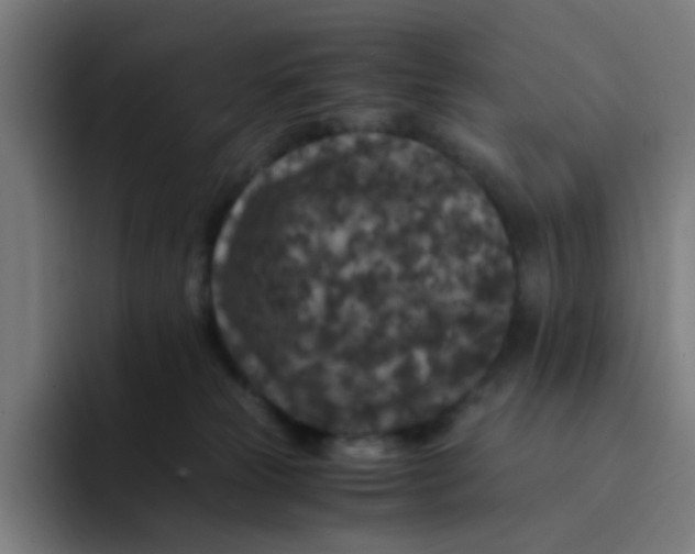 X0000094180181200711161735