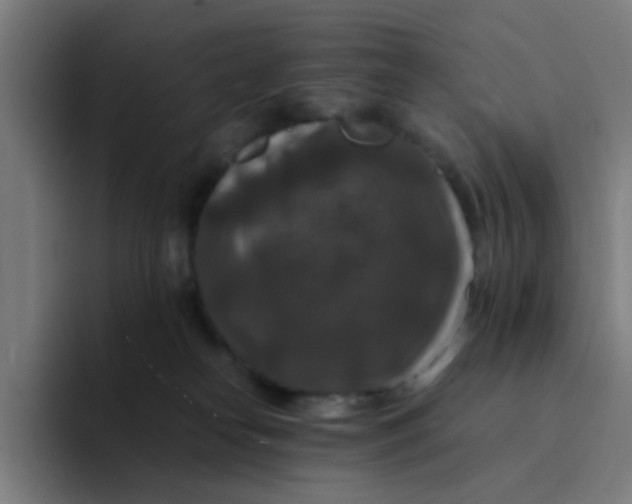 X0000094180182200711161735
