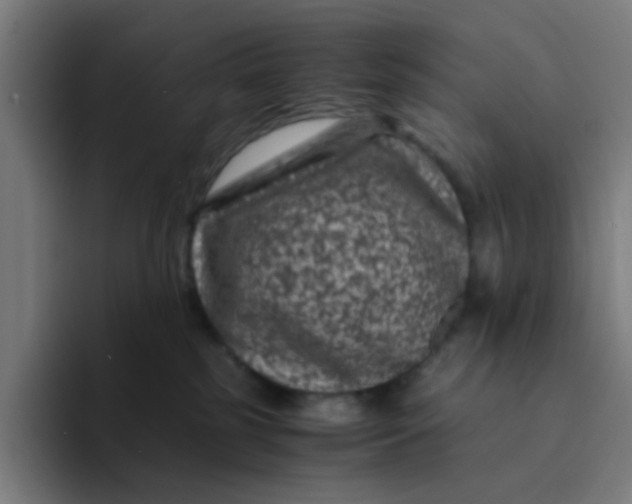 X0000094180185200711161735