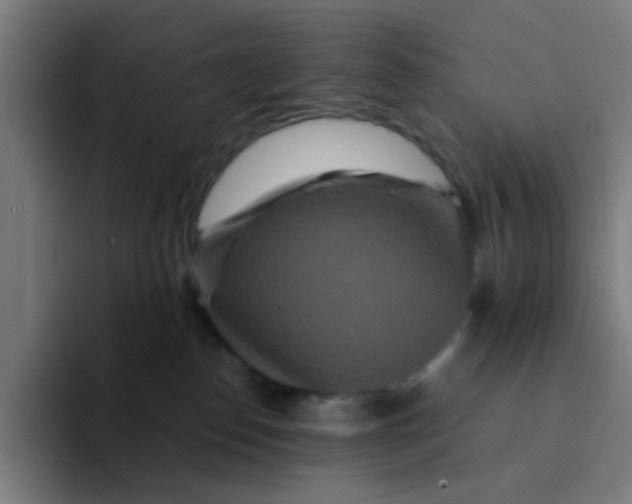 X0000094180186200711161735