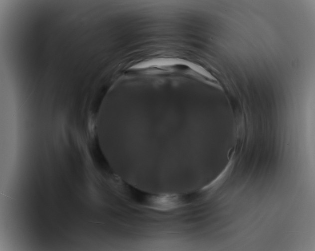 X0000094180191200711161735
