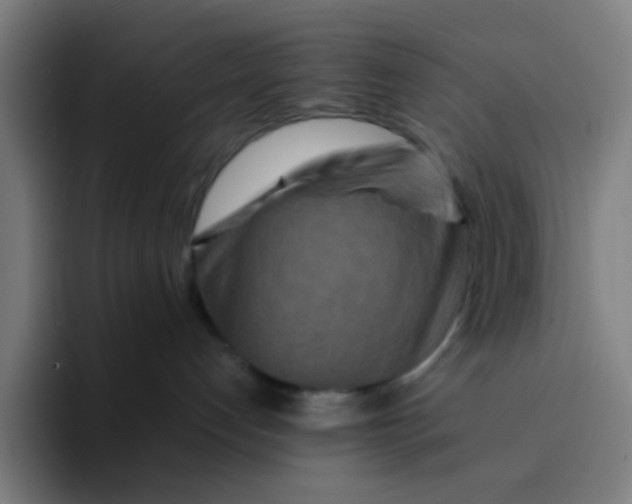 X0000094180192200711161735