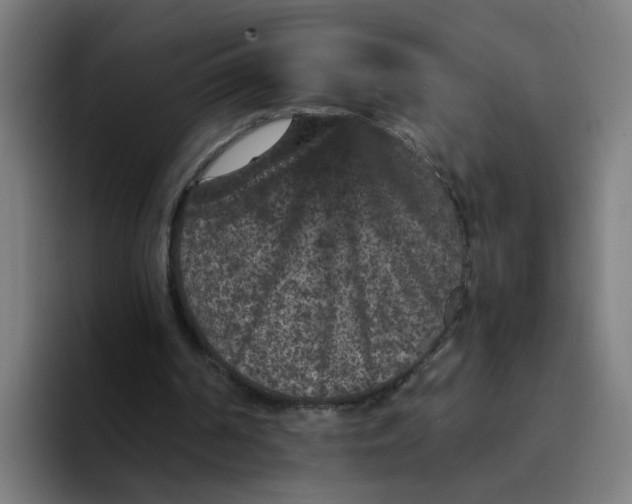 X0000094180194200711161735