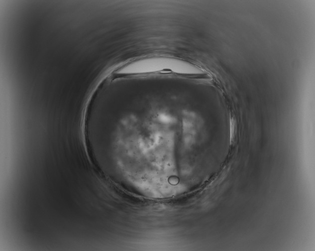 X0000094180195200711161735