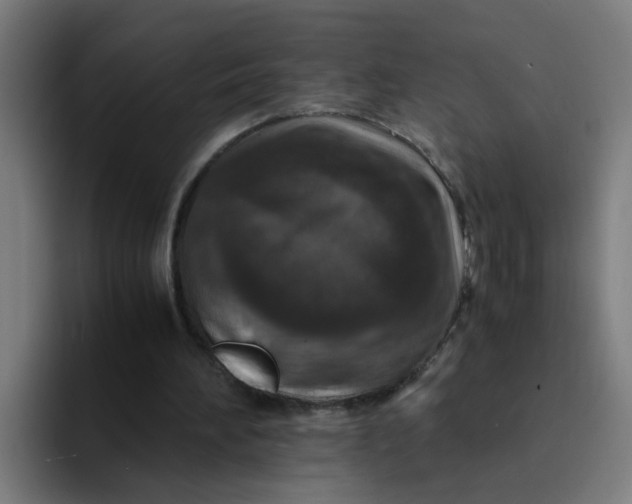 X0000094180196200711161735