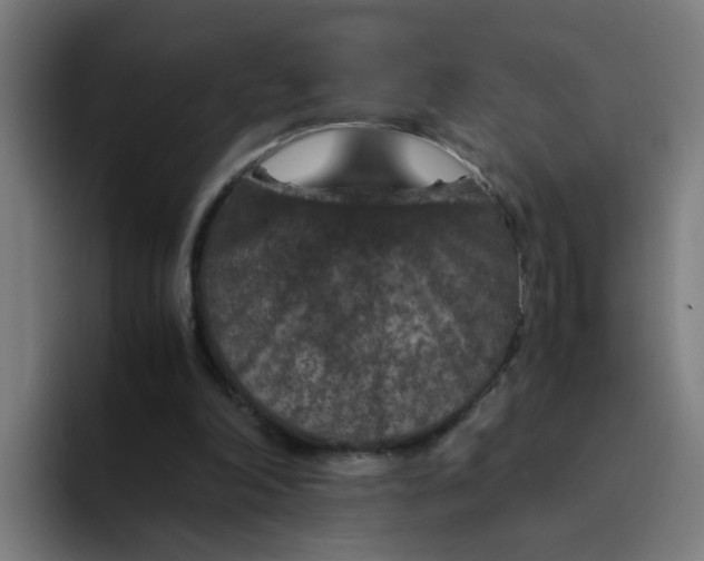 X0000094180198200711161735