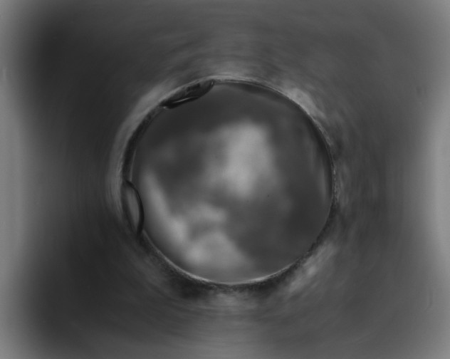 X0000094180199200711161735