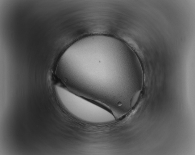 X0000094180201200711161735