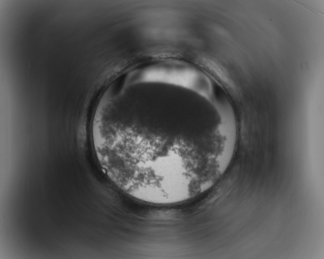 X0000094180202200711161735