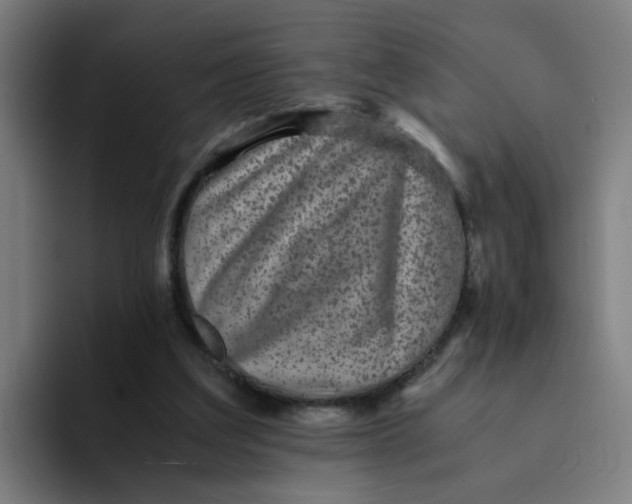 X0000094180203200711161734