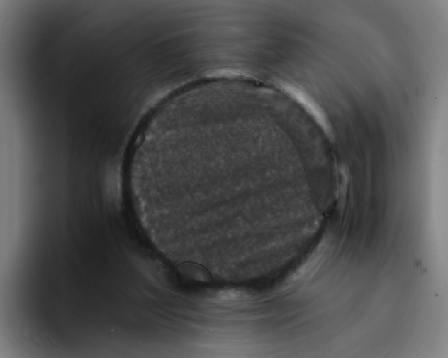 X0000094180204200711161734