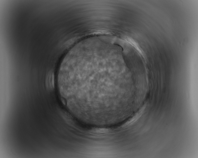 X0000094180205200711161734