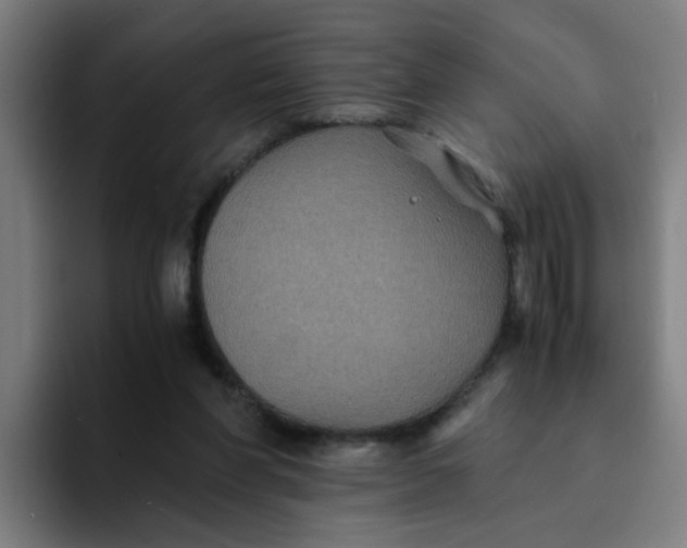 X0000094180206200711161734