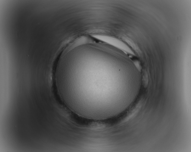 X0000094180207200711161734
