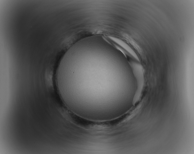 X0000094180209200711161734