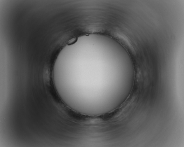 X0000094180210200711161734