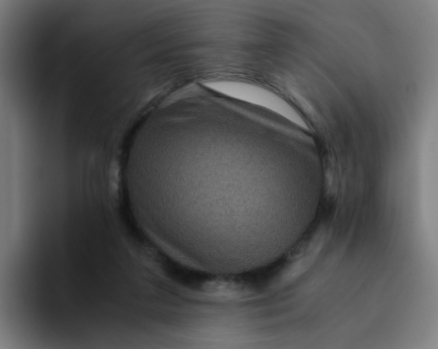 X0000094180211200711161734