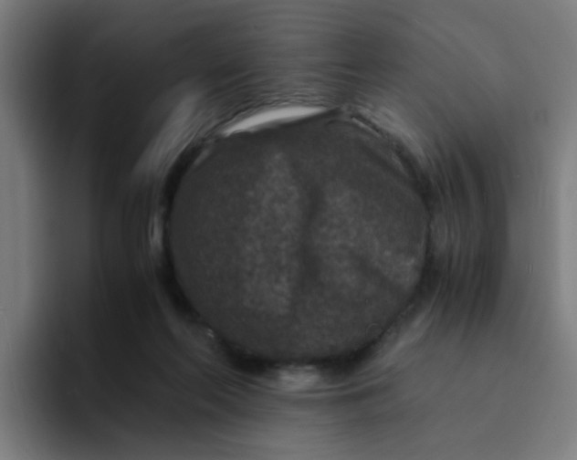 X0000094180214200711161734