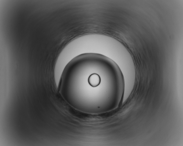 X0000094180215200711161734