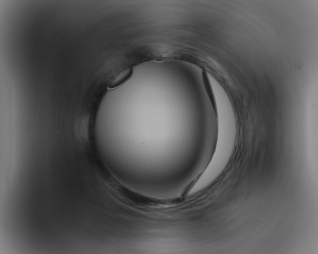 X0000094180217200711161734