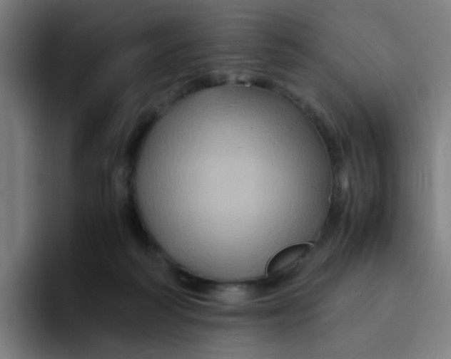 X0000094180218200711161734