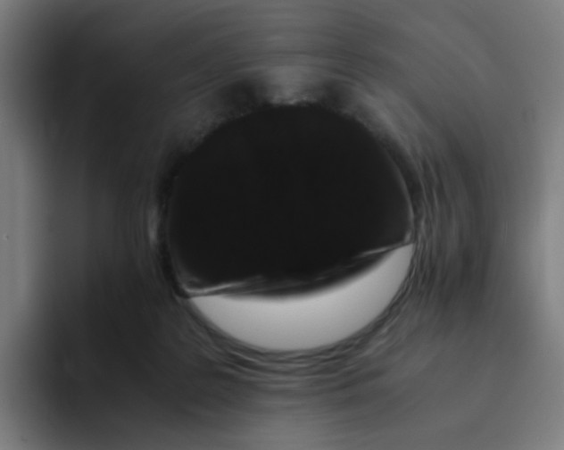 X0000094180219200711161734