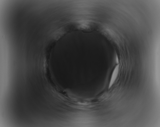 X0000094180223200711161734