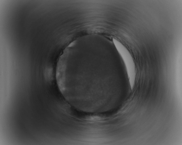 X0000094180224200711161734