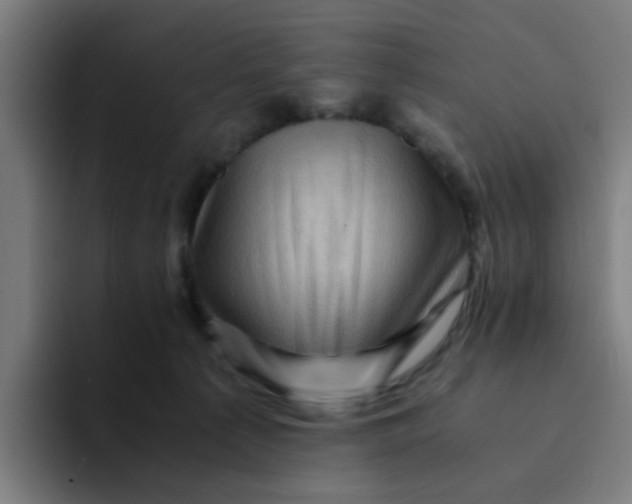 X0000094180225200711161734