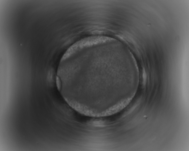 X0000094180228200711161734
